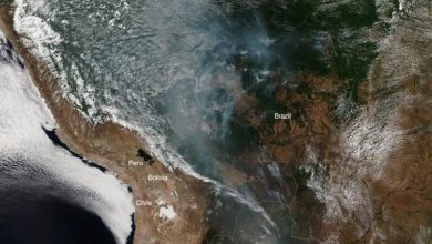 La situación es tan grave que El humo de los incendios de la zona ha llegado a Sao Paulo, a más de 2.700 kilómetros de distancia, incluso se divisan desde el espacio