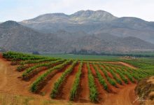 La propuesta artística del reconocido fotógrafo se conforma de una colección especial de imágenes que captan los inigualables paisajes del enigmático Valle de Guadalupe