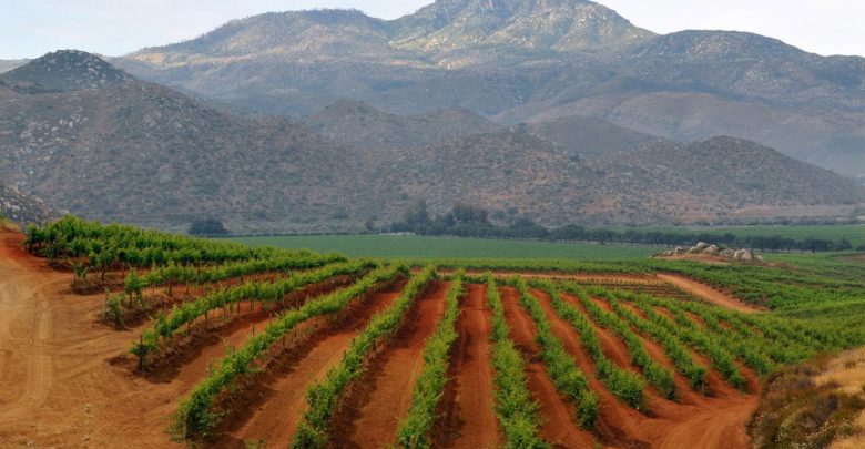 La propuesta artística del reconocido fotógrafo se conforma de una colección especial de imágenes que captan los inigualables paisajes del enigmático Valle de Guadalupe