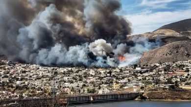 Foto: Emergencias Forestales https://twitter.com/EForestales